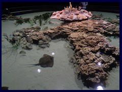 Universeum 28